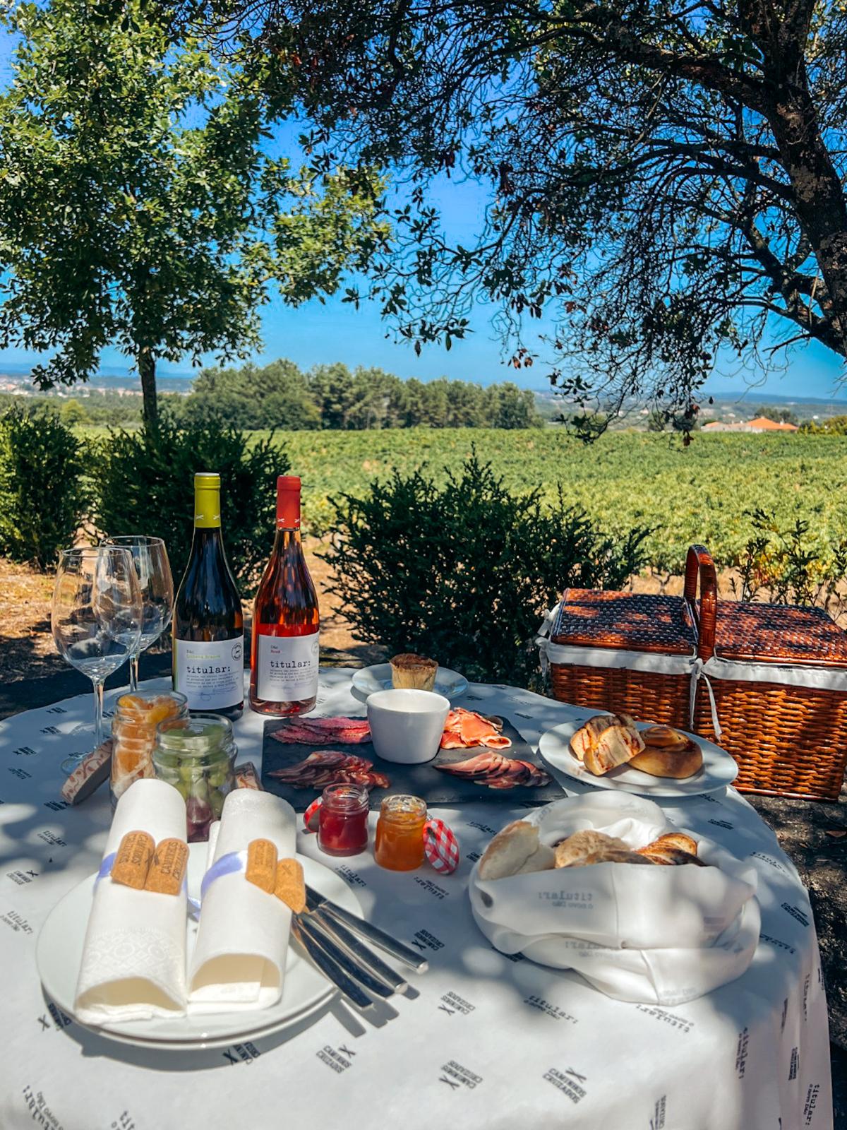 Piquenique na vinha com vinhos Titular, enchidos, queijos, pão e compotas.