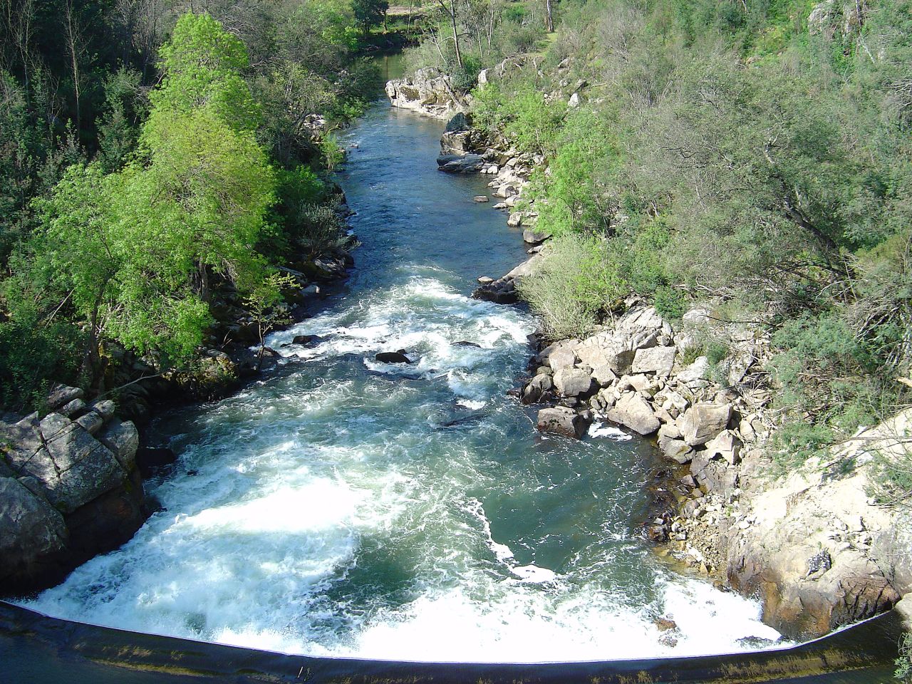 Passeio Termal nas Caldas da Felgueira
